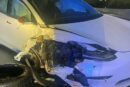 Incidente Tesla