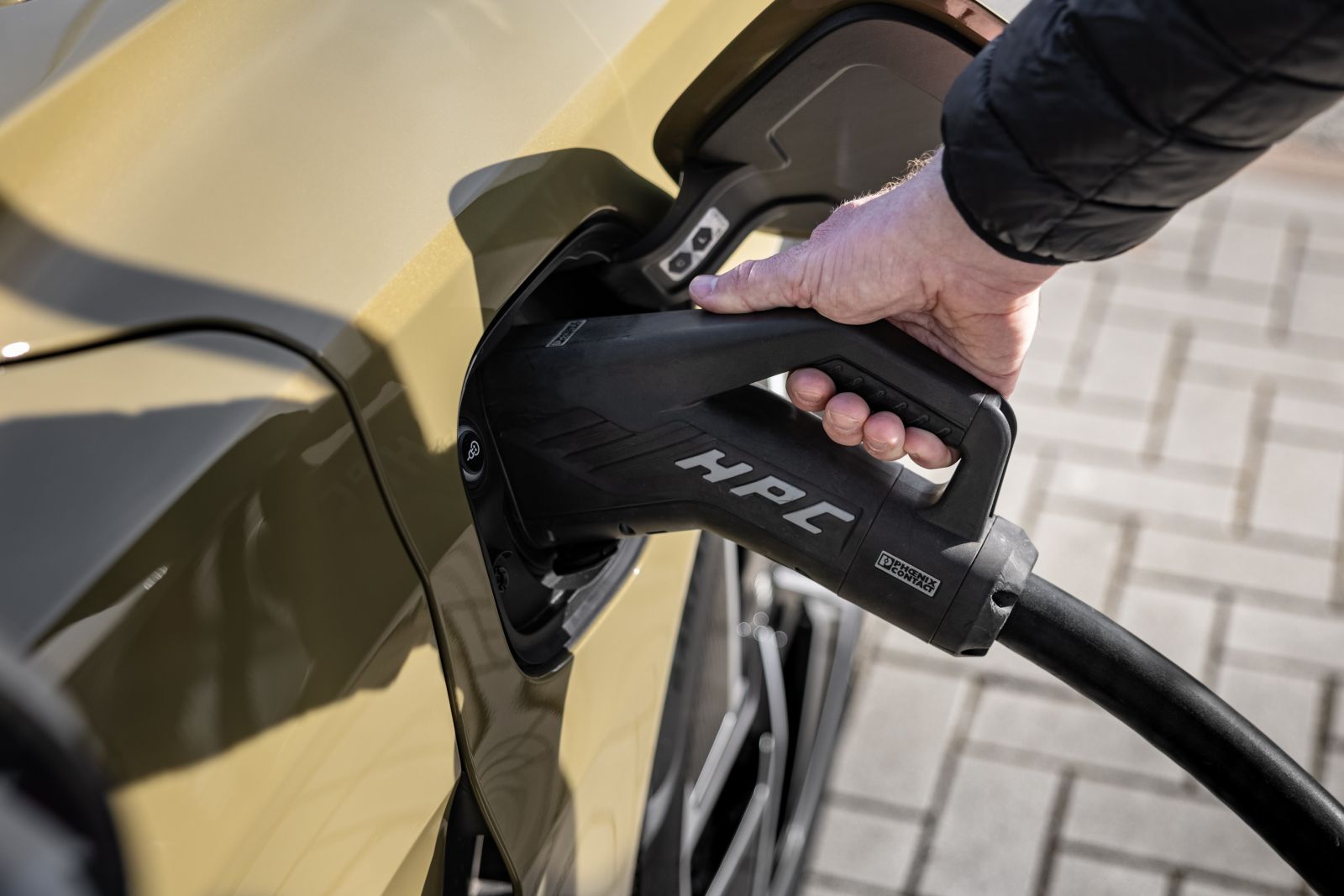 Basta litio il futuro delle batterie potrebbero essere i crostacei!