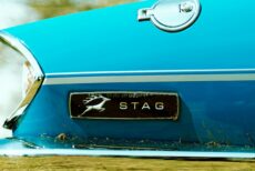 Triumph Stag 33445852290 1