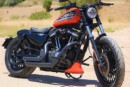 harley davidson vivir is custom sportster with a message and a hidden elephant 3