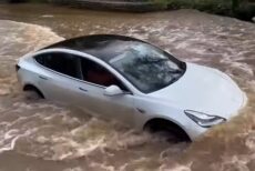 Tesla guado