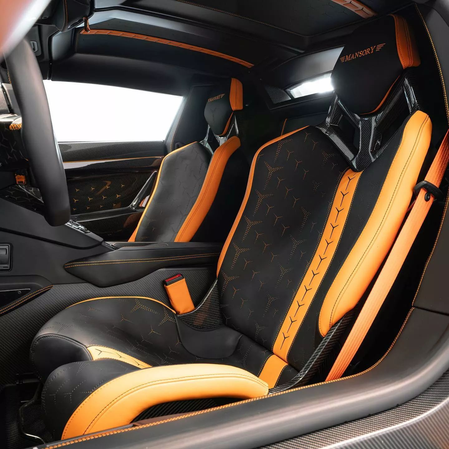 Mansory Lamborghini Aventador 10