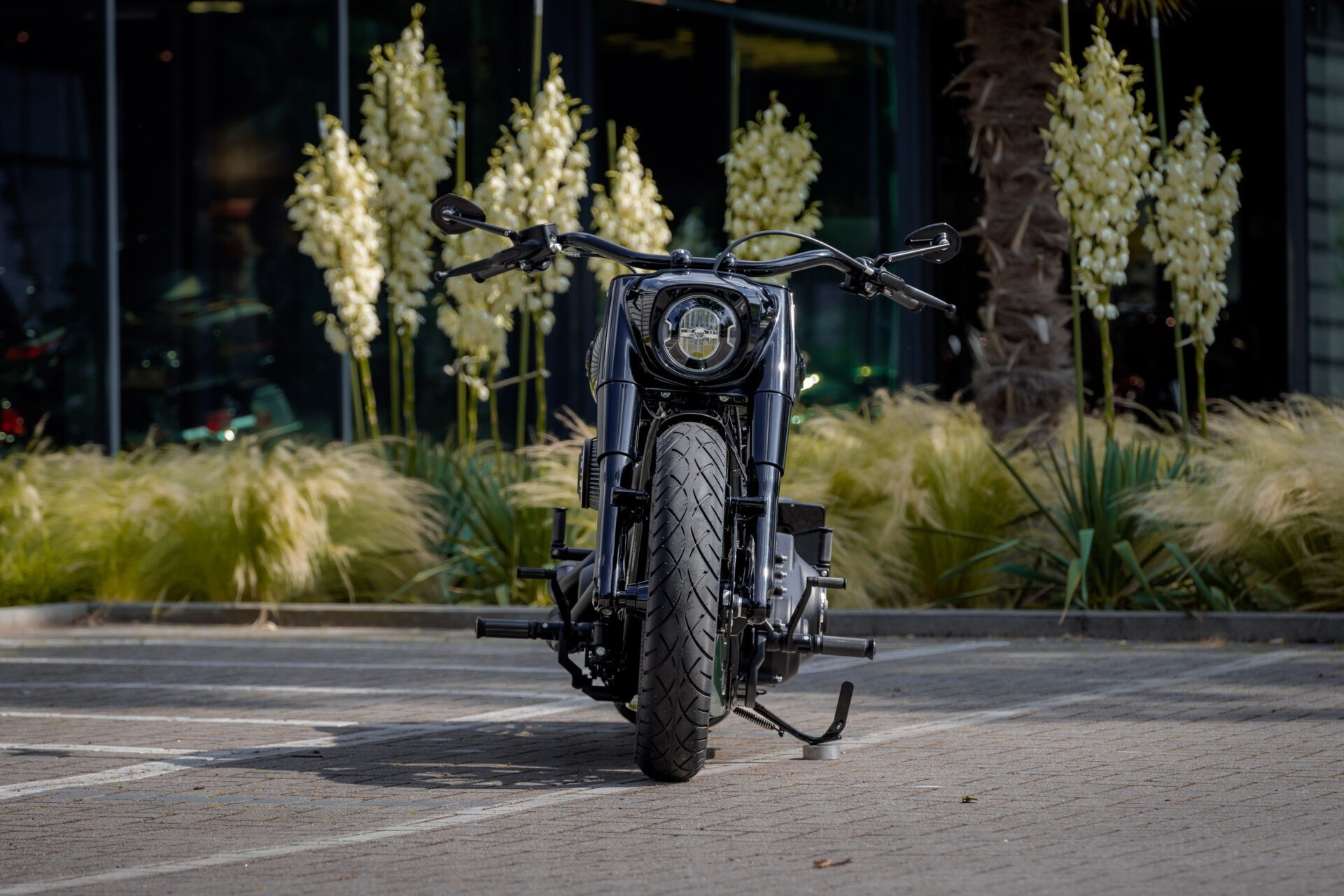 harley davidson green booster has a subtle mercedes amg connection 5