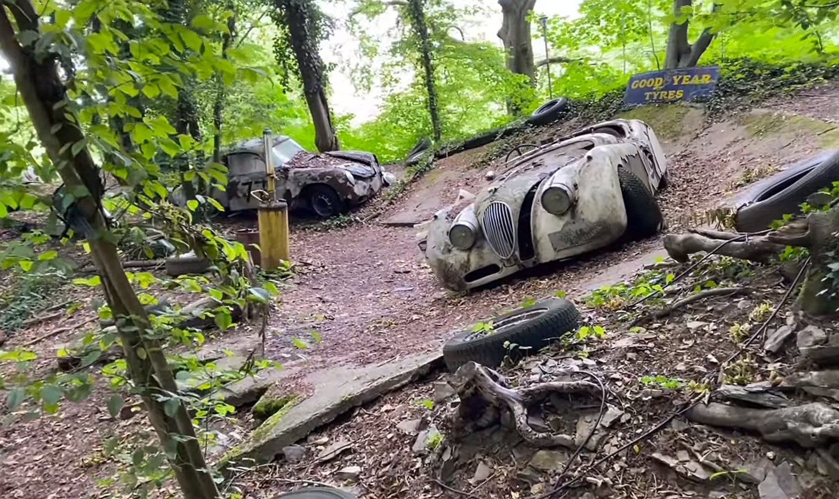 this junkyard set up in the woods is loaded with rare classic cars 1