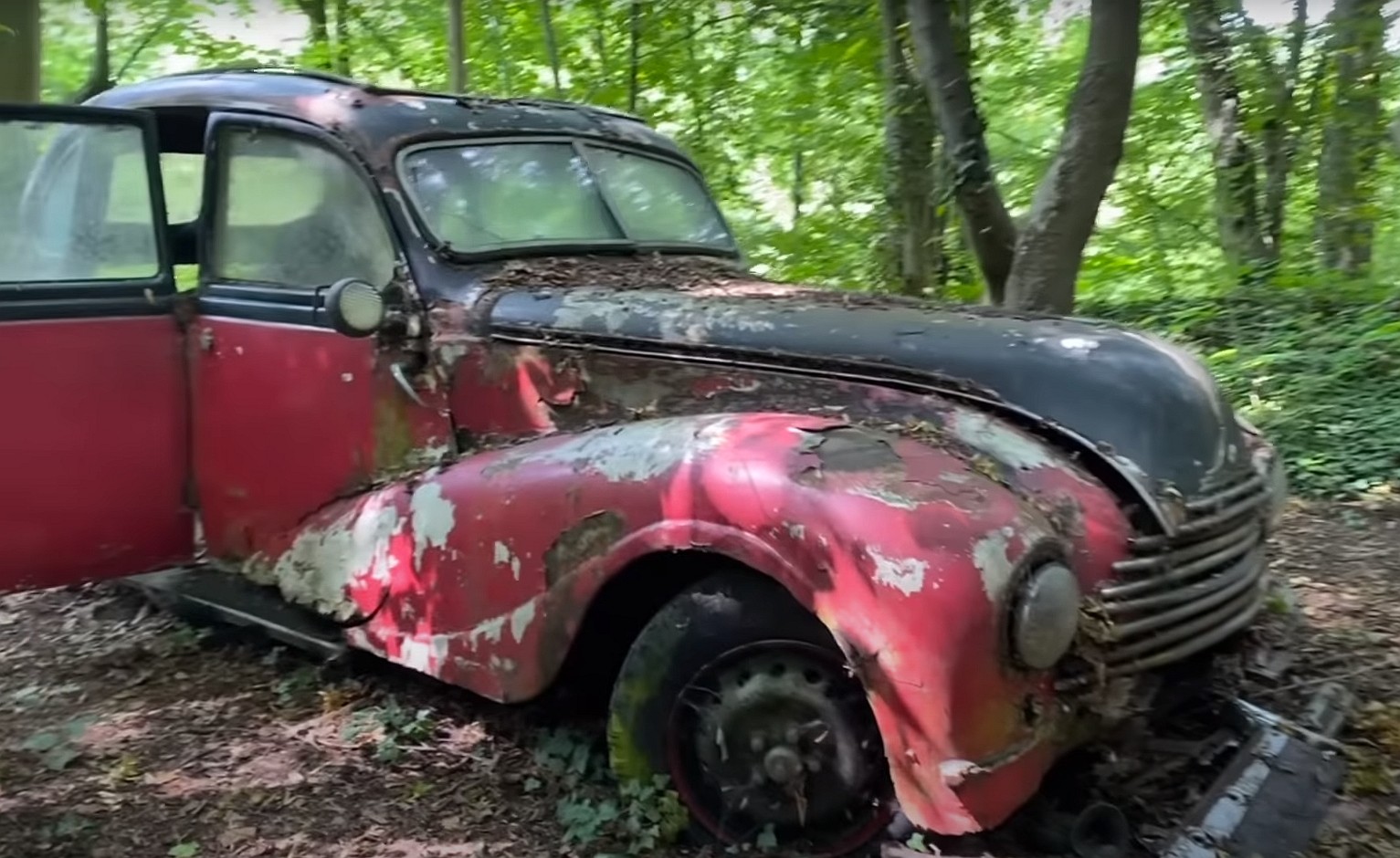 this junkyard set up in the woods is loaded with rare classic cars 5