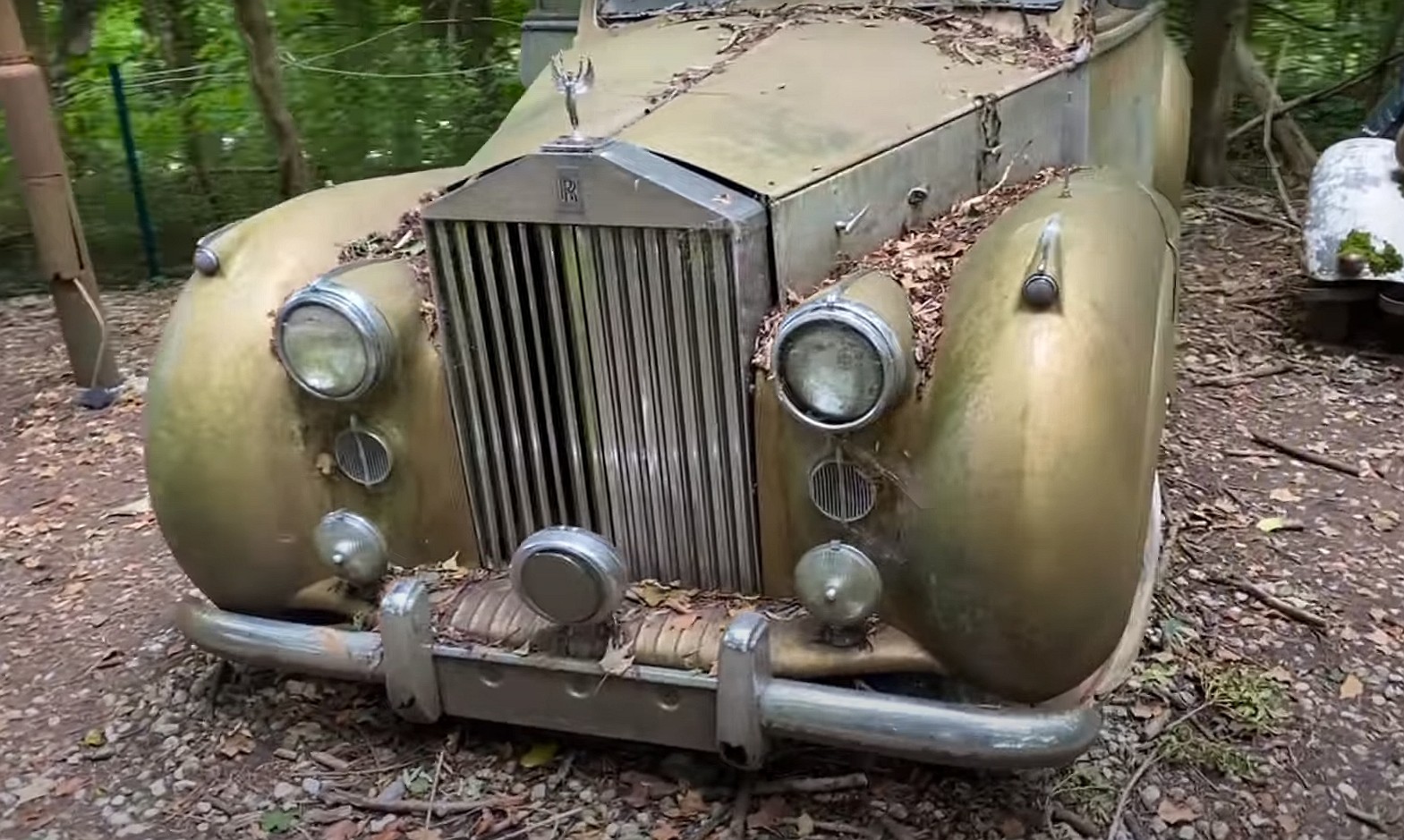 this junkyard set up in the woods is loaded with rare classic cars 6
