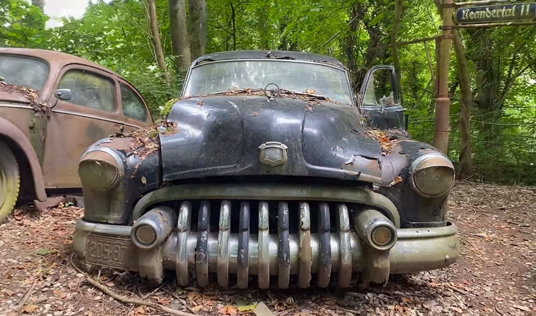 this junkyard set up in the woods is loaded with rare classic cars 8