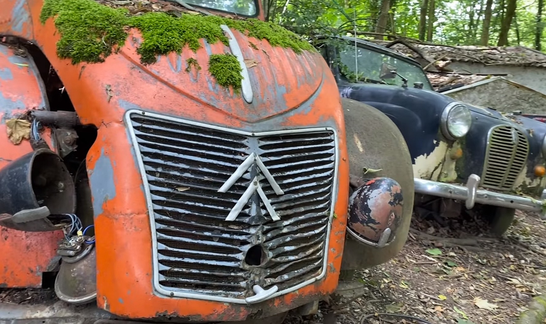 this junkyard set up in the woods is loaded with rare classic cars 9