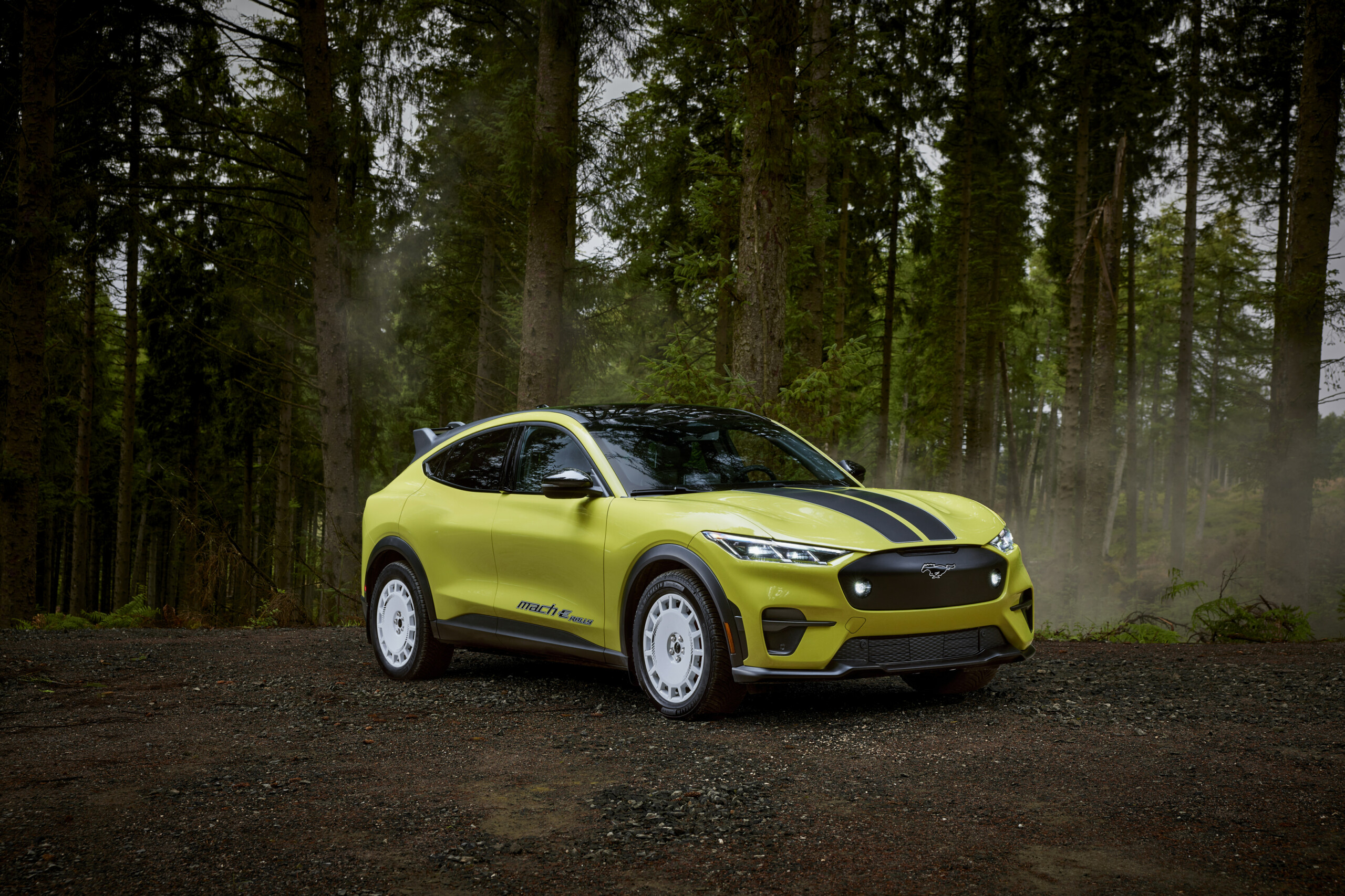 2023 FORD MACH E RALLYE 86 scaled