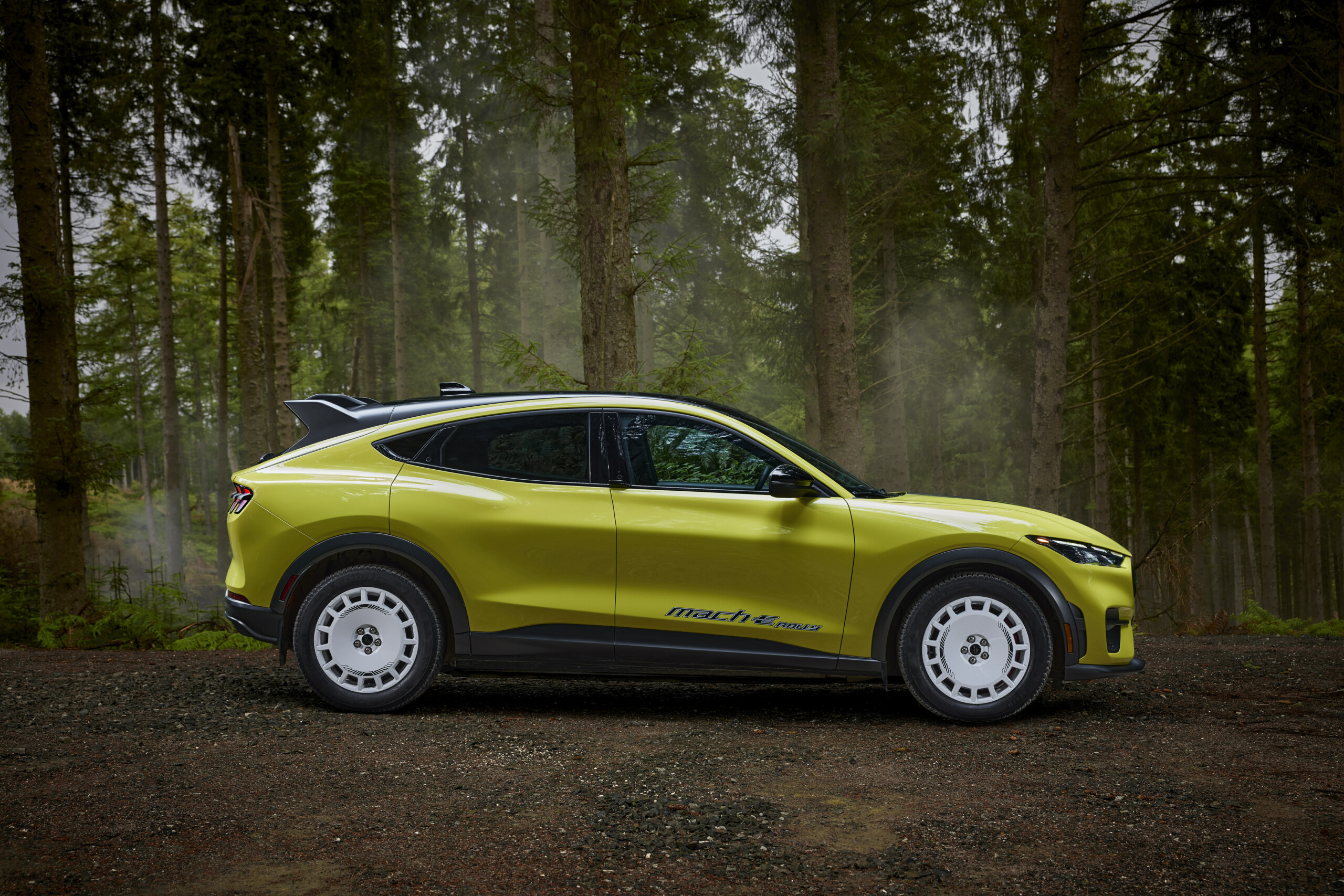 2023 FORD MACH E RALLYE 88 scaled