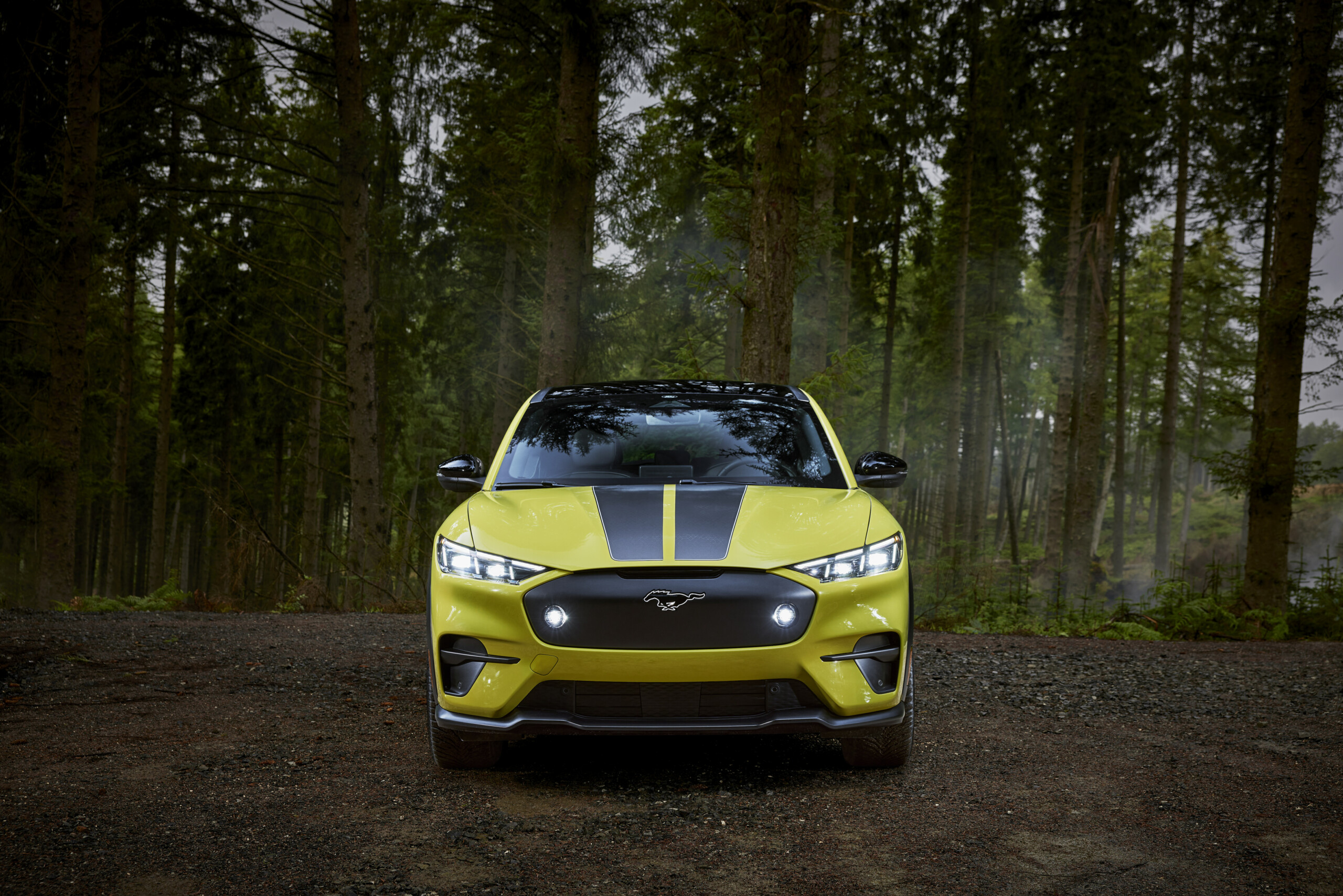 2023 FORD MACH E RALLYE 89 scaled
