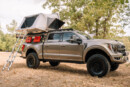 FOrd F150 Pickup 1 1