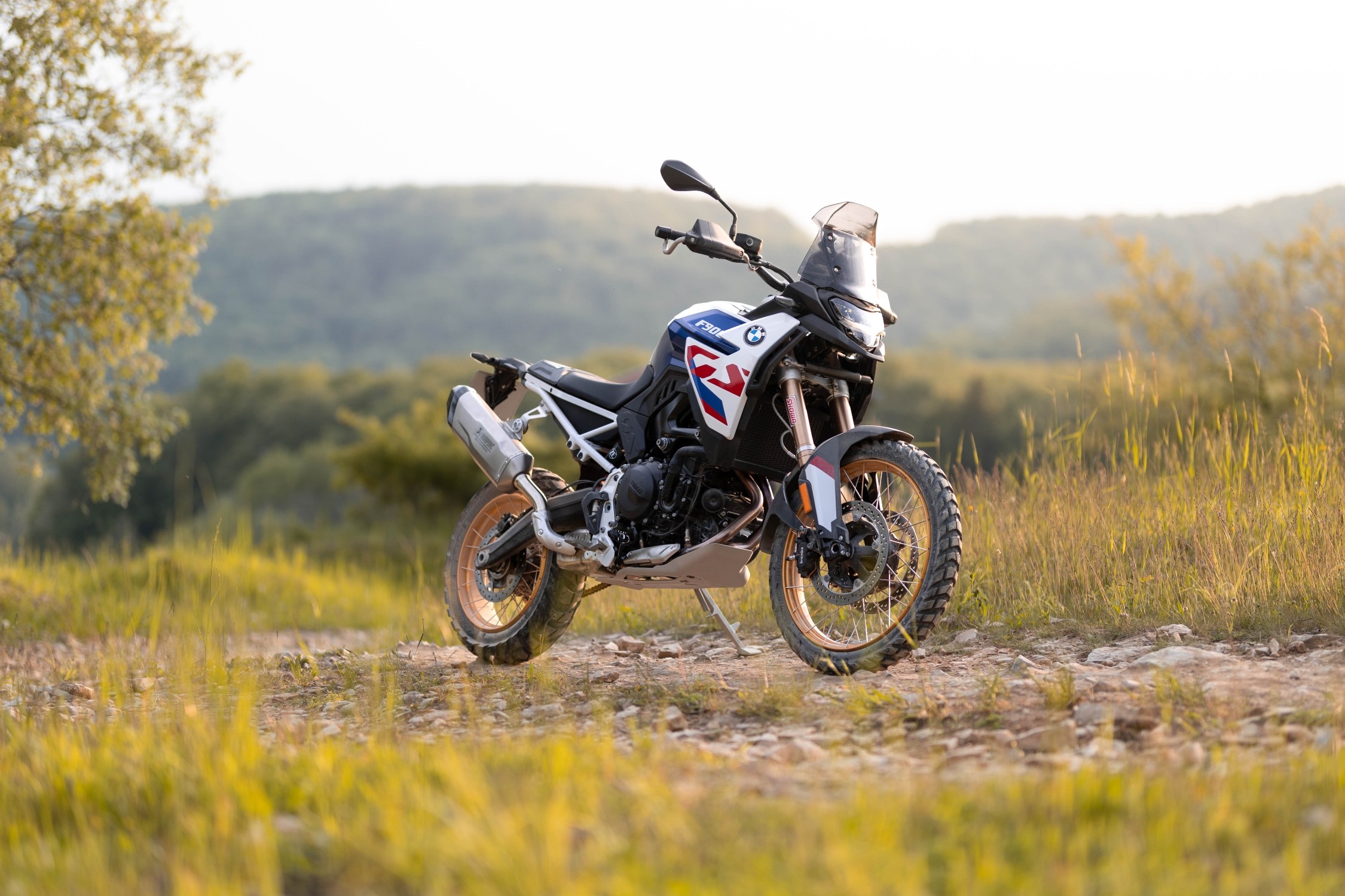P90520378 lowRes the new bmw f 900 gs