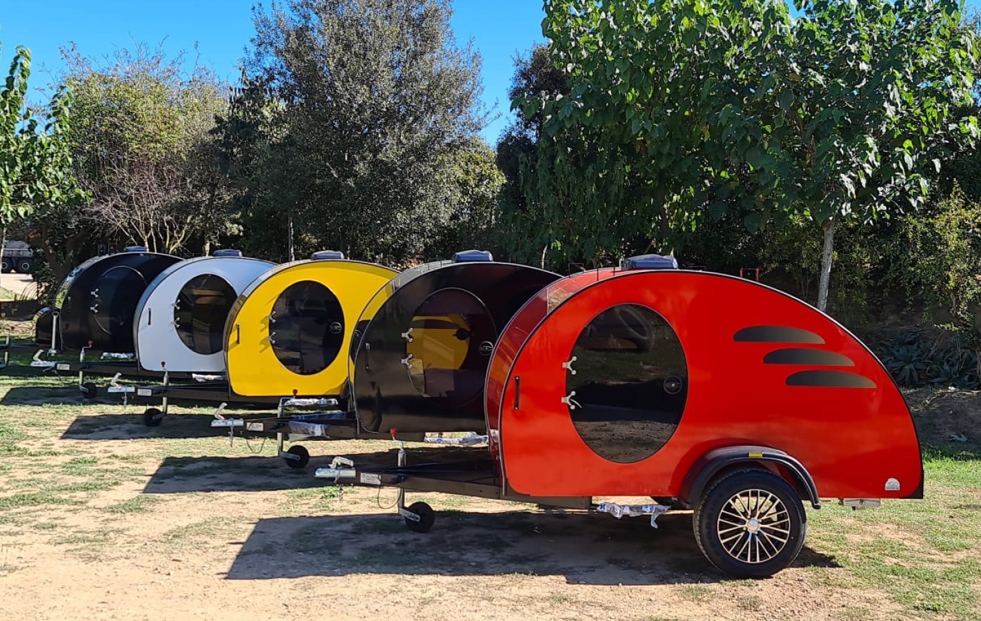 COCOONS DE VARIAS CORES 1