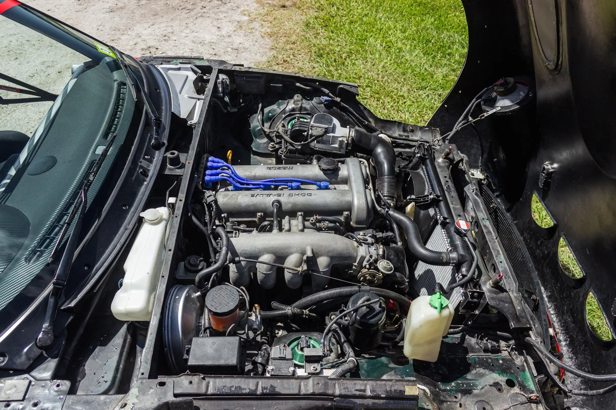 eunos 7