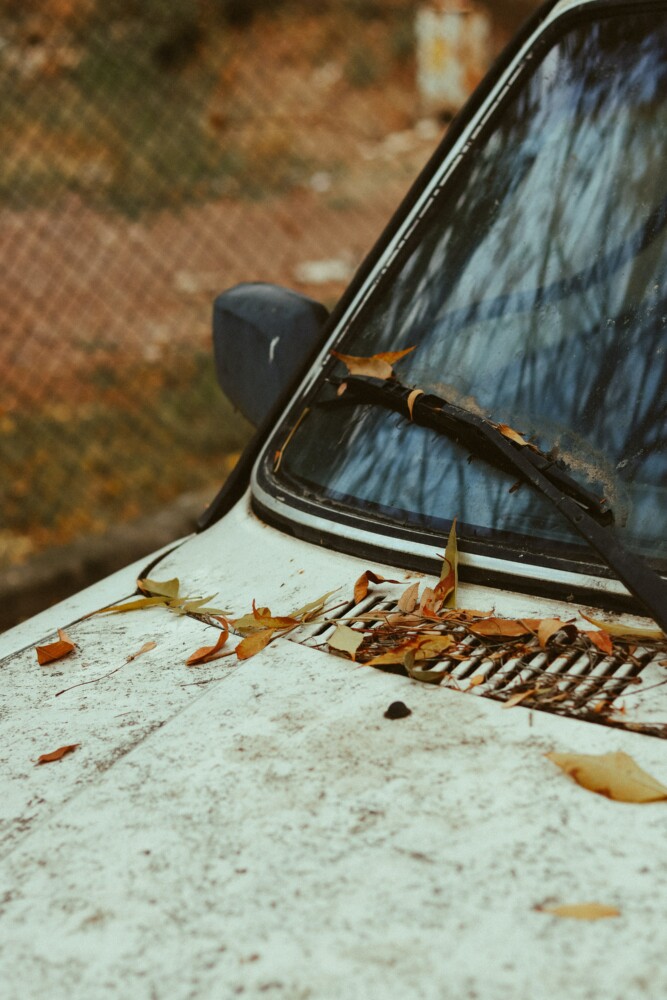 le foglie autunnali possono rovinare la tua auto in svariati modi