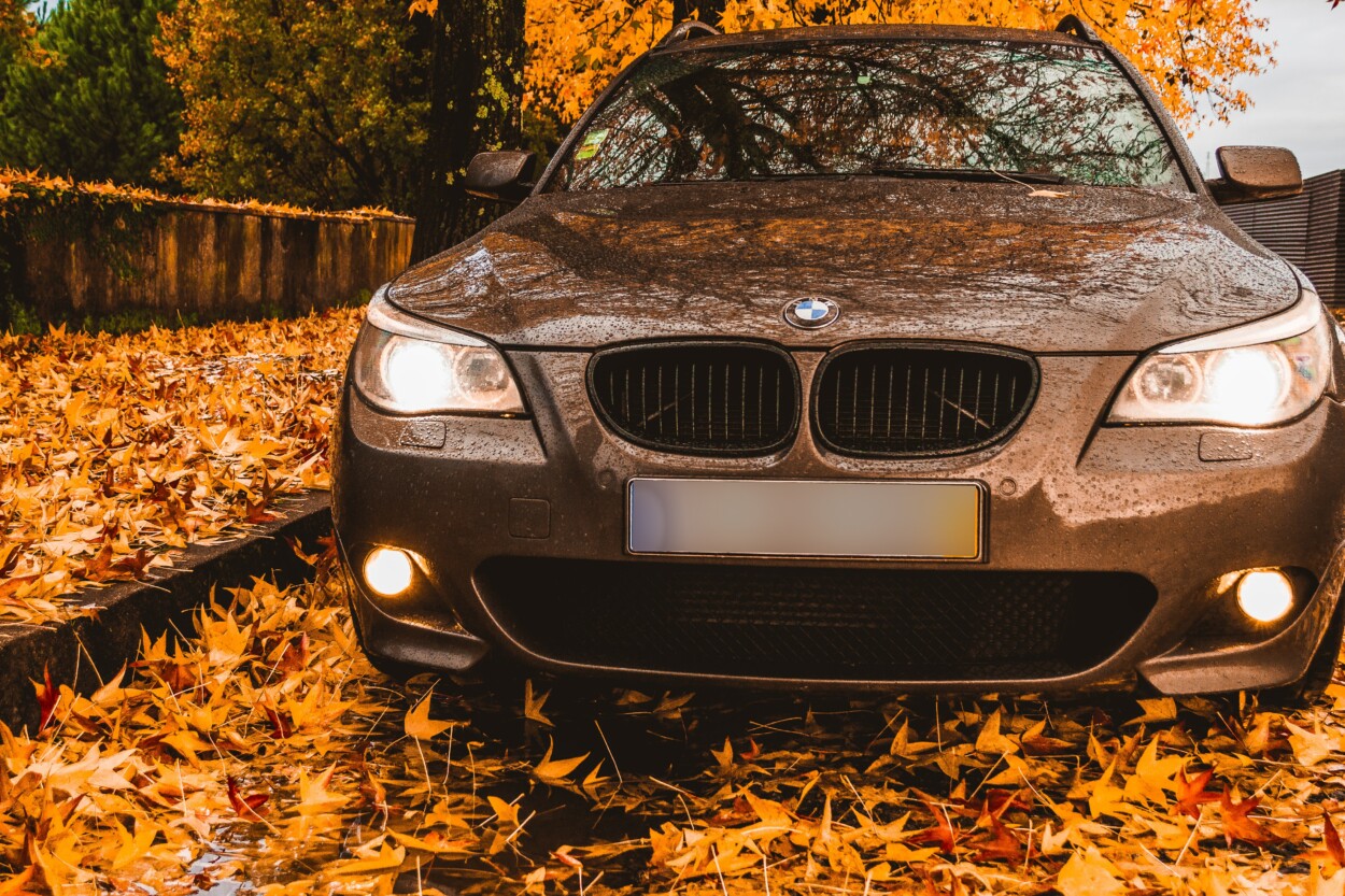 le foglie autunnali possono rovinare la tua auto in svariati modi