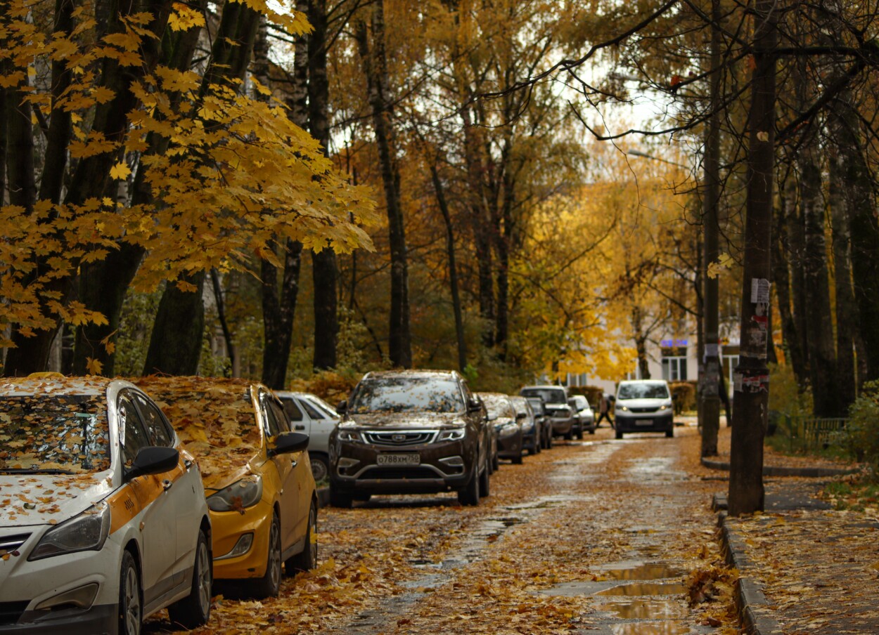 le foglie autunnali possono rovinare la tua auto in svariati modi
