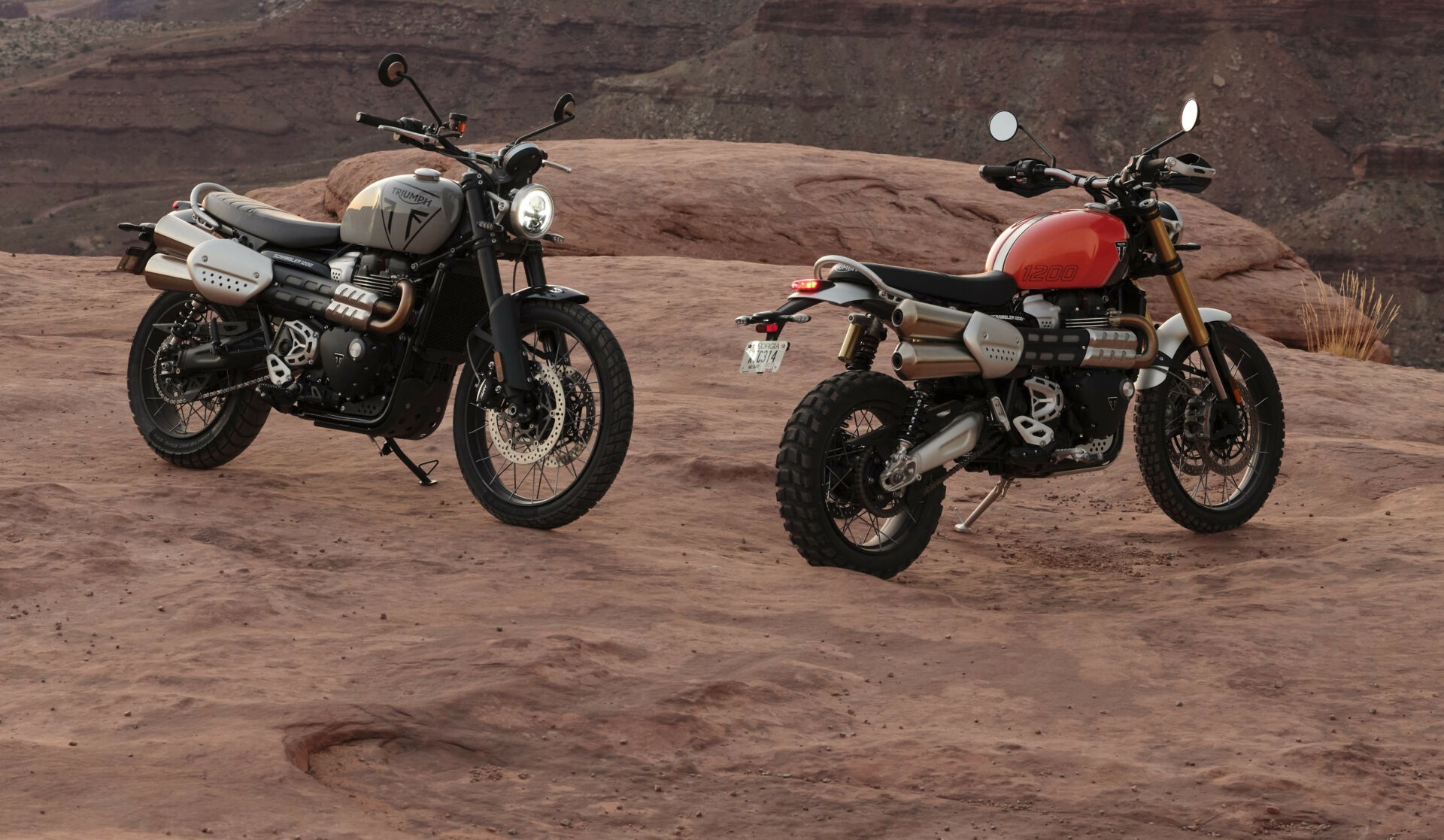 triumph scrambler 1200 2024 7