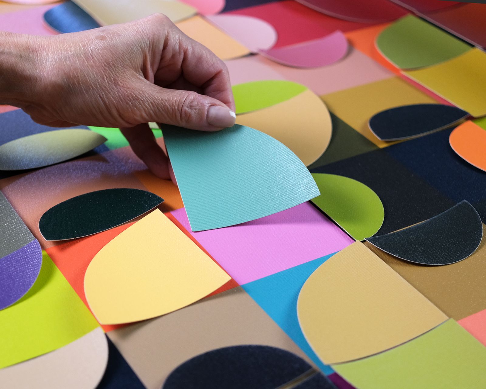 IMAGE 5 Placing Color Shapes